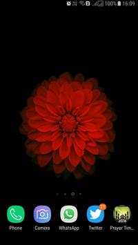 HD Background Flower Wallpaper screenshot 9