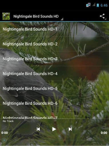 Nightingale Bird Sounds HD screenshot 1