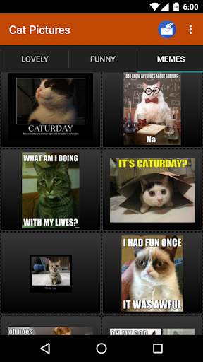 Cat wallpapers and funny pics screenshot 6
