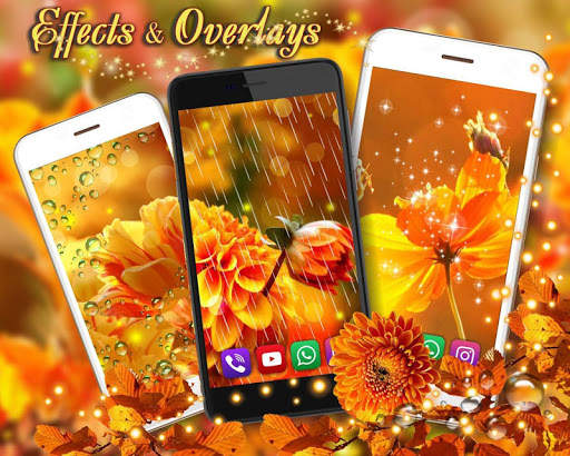 Autumn Flowers Live Wallpaper screenshot 1