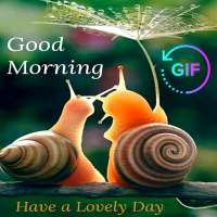 Good Morning Images And Messages GIF 🌹❤ on 9Apps