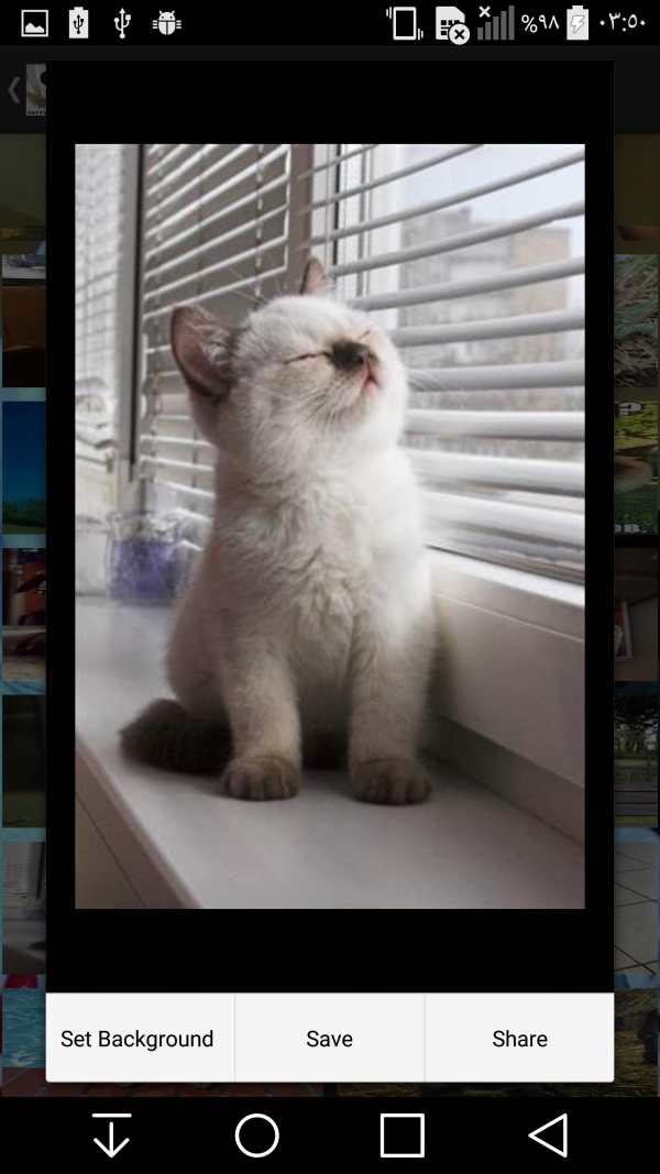 Cute and Funny Animals screenshot 3