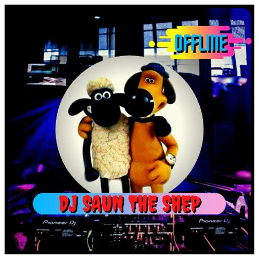 DJ Shaun Remix Viral 2020 Offline 1.0