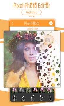 Pixel camera: 2018 screenshot 5