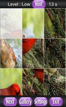 Birds Species Puzzle स्क्रीनशॉट 4