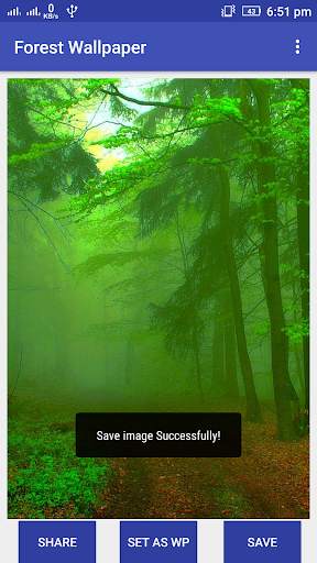 Forest Wallpaper screenshot 5
