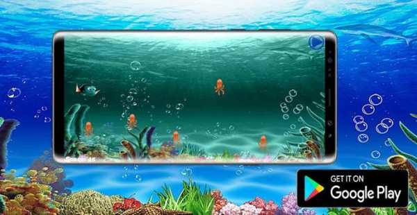 Save Dory From The Shark screenshot 2