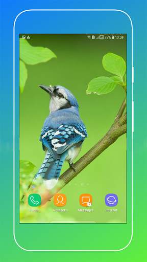 Bird Wallpaper screenshot 6