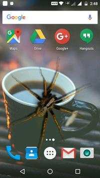 Spider On Screen - Funny Prank screenshot 1