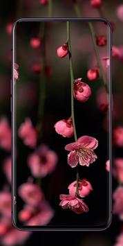 Nature Wallpaper | beautiful wallpapers screenshot 1