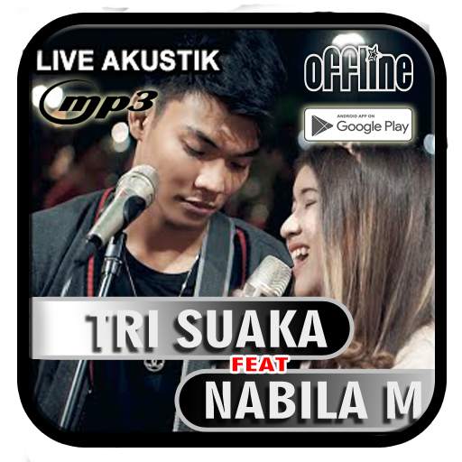 Tri Suaka ft Nabila Mp3 Offline screenshot 1