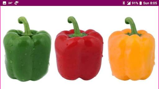 Learn Marathi Fruits and Vegetables Names скриншот 16