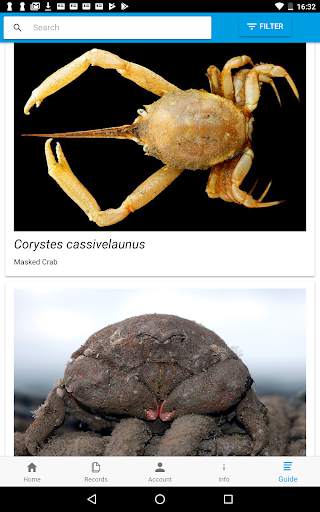 Crab Watch скриншот 6