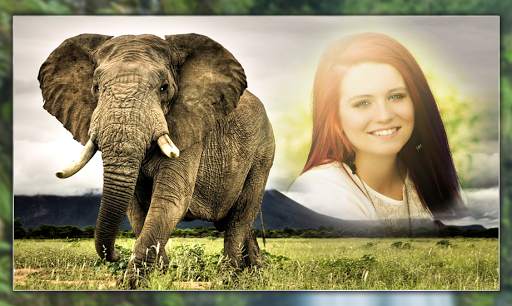 Wild Animals Photo Frames screenshot 4