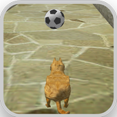 Cat Ball icon