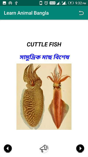 Learn Animal Bangla скриншот 5