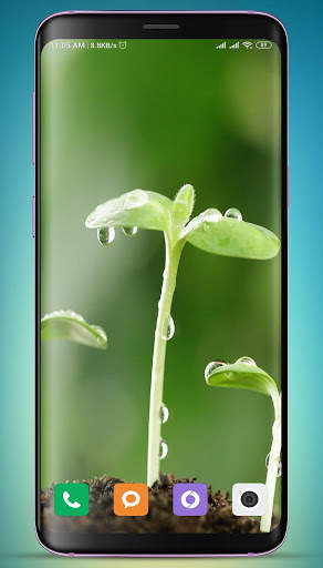 Plants Wallpaper HD screenshot 12
