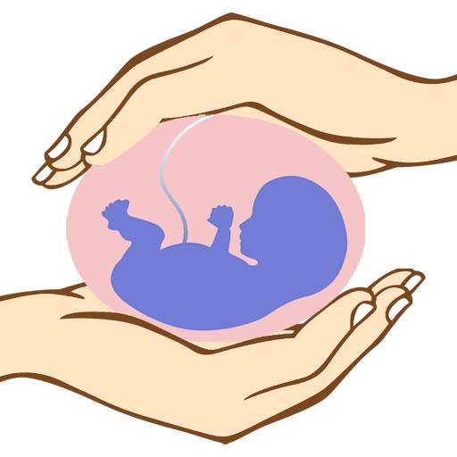 101 Pregnancy Safety Tips Free 2.3.0