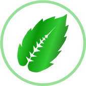 Life Manager icon