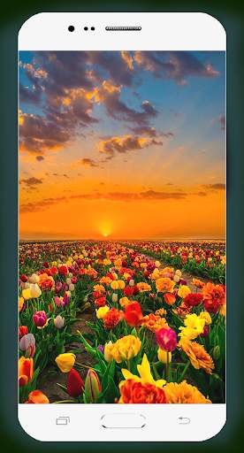 Spring Wallpaper HD screenshot 7
