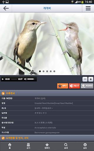 한국의 조류(Birds of Korea) screenshot 14