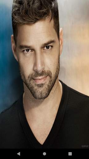 Ricky Martin Best Music(Offline) & Ringstones screenshot 1