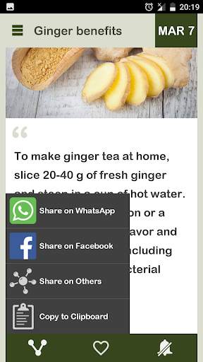 Ginger - Magic Herb Daily screenshot 5