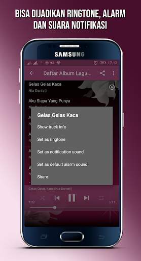 Kumpulan Lagu NIA DANIATI Offline Full Album screenshot 6