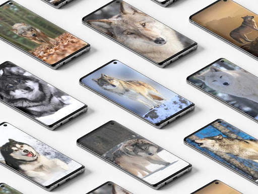 Wolf Wallpaper screenshot 8