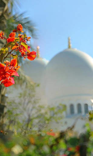 Mosque Live Wallpaper : 7fon & LWP screenshot 2