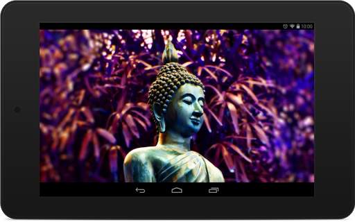 Buddha Wallpapers screenshot 8