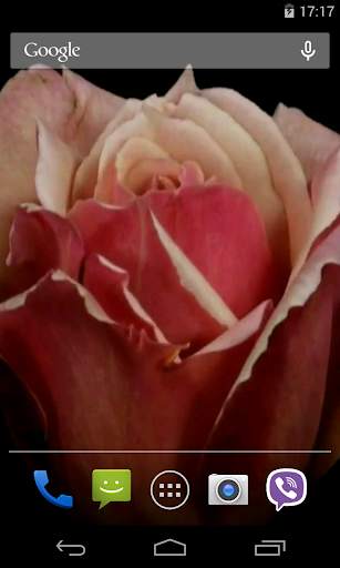 Flowers Video Live Wallpaper screenshot 4