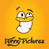 Funny Pictures 3