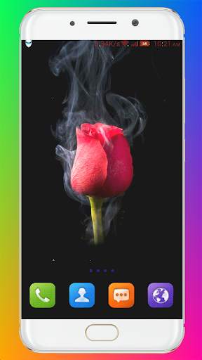 Red Rose Wallpaper screenshot 3