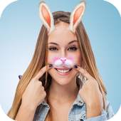 Insta Filters 1.0