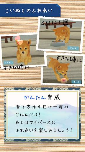 Shibainu Simulation Game 3D screenshot 3
