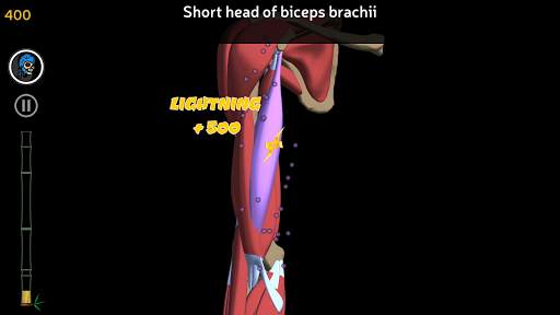 Anatomy Ninja Upper Limb screenshot 5