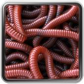Can of Worms Live Wallpaper 1.1.0