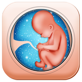 Pregnancy Care Healthy Diet &amp; Nutrition Foods Help icon
