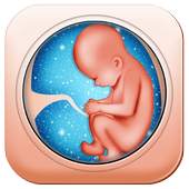 Pregnancy Care Healthy Diet & Nutrition Foods Help 2.5