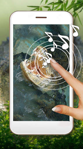 Crocodiles Tropical screenshot 2
