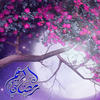 ikon ramadan beautiful Lwp