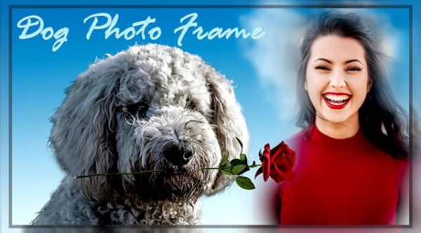 Dog Photo Frame screenshot 3