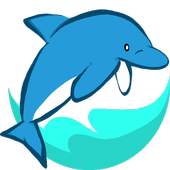 Dolphin Wifi 1.1.5