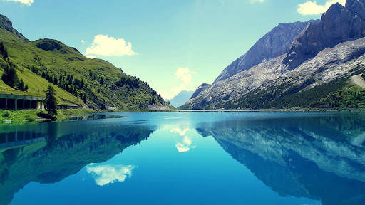 Nature Live Wallpaper screenshot 1
