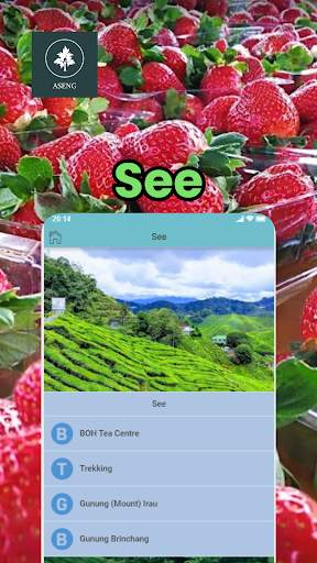 Cameron Highlands Travel screenshot 2