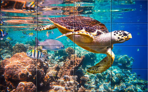 Sea world Puzzle screenshot 8