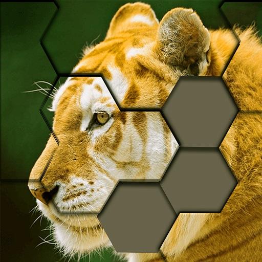 Jigsaw Hexa Puzzle - Block Hexa Puzzle Game icon