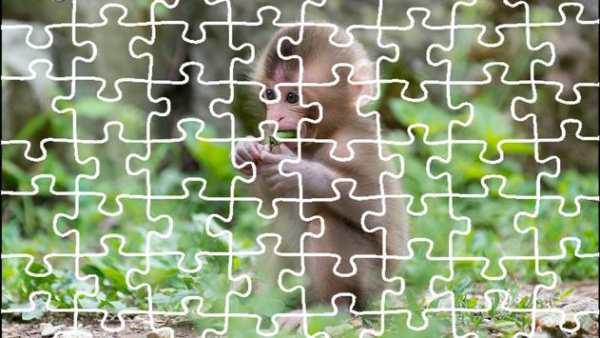Tiger Jigsaw Puzzle King screenshot 3