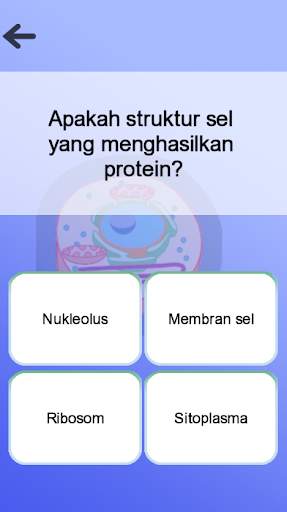 Anatomi screenshot 7